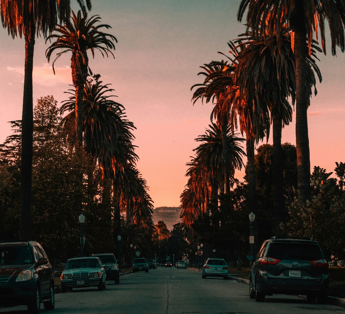 NEX CPD Professional Development